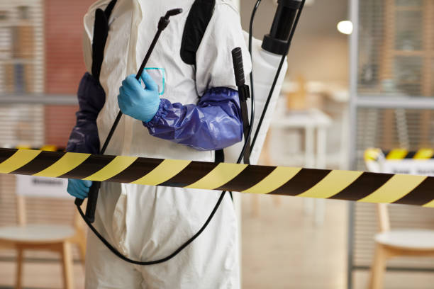 Professional Hoarding Cleanup technician working in Dana, IN